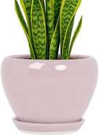 Deep Dream 8 Inch Plant Pots- Ceramic Pots for Plants with Drainage Hole and Saucer, Large Planter Pot for Indoor Plants Outdoor Decor, Pink by DeepDream