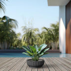 Kante Small Round Shallow Black Concrete Planter 14.6" Dia, Outdoor - Image 4