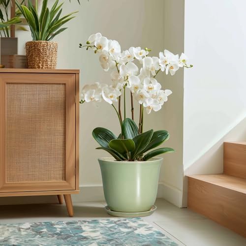 Ceramic Planter, 12 Inch Plant Pot for Indoor Plants, Green - Image 5
