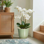 Ceramic Planter, 12 Inch Plant Pot for Indoor Plants, Green - Image 5