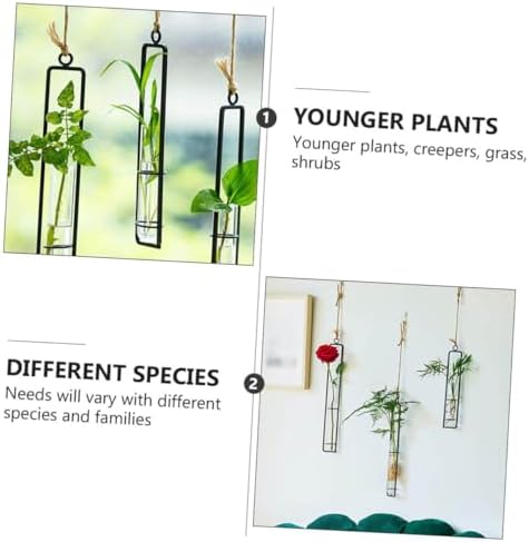 Hanging Glass Hydroponic Vase Set 3pcs with Test Tubes and Iron Frames, Wall-Mounted Plant Propagation Station for Home Décor and Garden Display, Includes 3 Hemp Ropes and 3 - Image 7