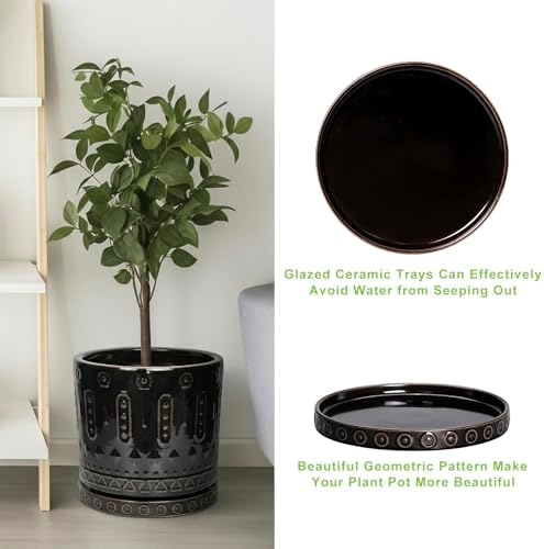 EightPot Plant Trays for Pots 7.5 Inch, 2 Pack Flower Pot Saucers, Round Ceramic Plant Saucers for Indoors Outdoors, Modern Plants Plates to Catch Water, Decorative Plants Dishes to Catch Water, Black - Image 5