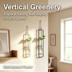 METALLIXITY Hanging Clear Glass Hydroponic Plant Propagation Tube Vase 3Pcs - Image 4