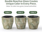 4+6 Inch Ceramic Planter Set of 2 with Drainage Hole,Saucer for Plants, Indoor-Outdoor Large Round Succulent Orchid Flower Pot- Cement Paint, Inner-pots not Larger Than 5 Inch Light Green - Image 2