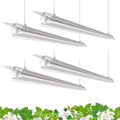 Barrina T8 Grow Light for Indoor Plant, Full Spectrum, 4FT 5000K, 4 Packs by Barrina