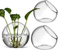 Mipcase 3 Pack Slanted Glass Terrarium Set, Clear Bubble Planter Globe by Mipcase