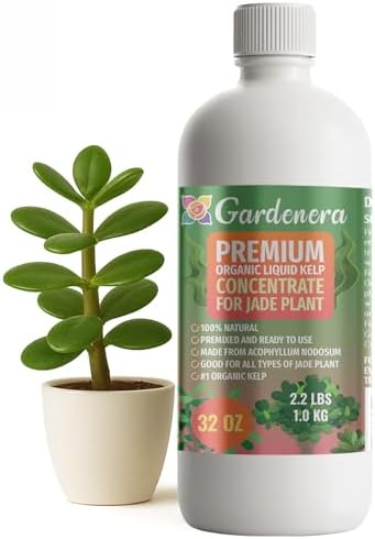 GARDENERA Premium Organic Seaweed & Kelp Superfood for Jade Plants Plants - 32 oz - Liquid Kelp Fertilizer Concentrate (Makes 180 Gallons) by Gardenera
