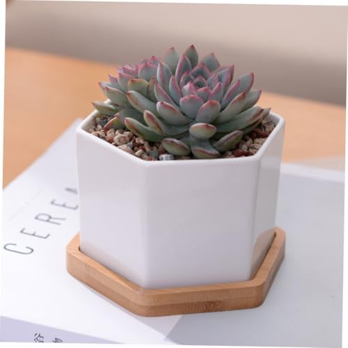 White Ceramic Hexagonal Succulent Pots, with Bamboo Tray 2 Sets - Image 3