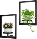 Heavy-Duty Wall Planters for Indoor Plants, Modern Metal Hanging Plant Holders, Picture Frame Wall Plant Shelves for Living Room, Balcony, Patio, Window Garden Décor, 2-Pack by Wacloud