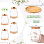 Nuanchu 4 Pcs Desktop Plant Terrarium Vase, Large - Image 2