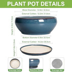 SQOWL Bonsai Tree Pots - 12 Inch Ceramic Succulent Pots, Large Shallow Planter with Drainage Hole and Saucer, Bowl Round Planters for Indoor Outdoor Plants, House Decor, House Warming Gifts, Blue - Image 2