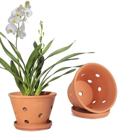 vensovo 8 Inch Terracotta Orchid Pots with Holes and Saucers - 2 Pack Clay Orchid Planter Pots for Repotting, Breathable Flower Pots for Indoor Outdoor, Promotes Air Circulation & Healthy Roots by vensovo