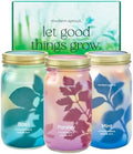 Modern Sprout Garden Jar Gift Pack - Hydroponic Kit - Basil, Parsley & Mint by ModernSprout