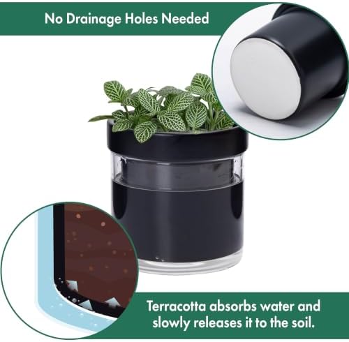 Phoenix Vine 4 Inch Self Watering Planter Pot, Black Terracotta Clay Pot with Glass Reservoir for Indoor Plants, Herbs, Flowers, Set of 3, 52-C-E-3 - Image 5