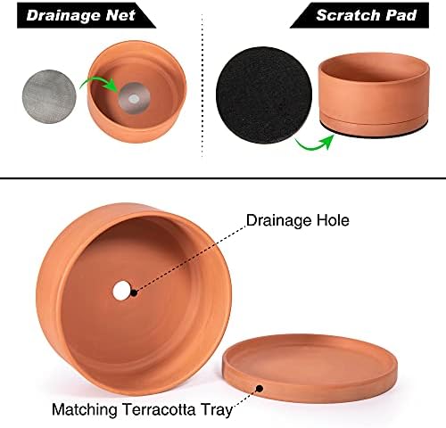 D'vine Dev Terracotta Shallow Planter Pot with Saucer, 10 in, 40-Y-B-0 - Image 4