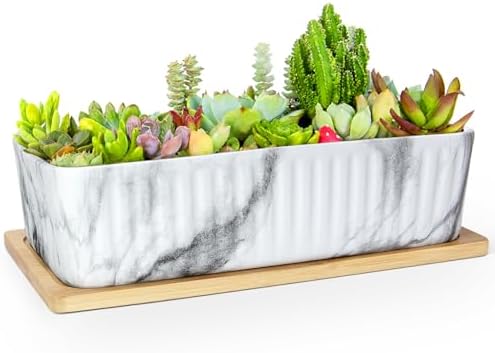 Succulent Pots, Large Shallow Rectangle Planters with Drainage Tray by ARTKETTY