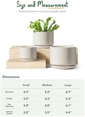 LE TAUCI Ceramic Pots for Plants, 4.3+5.3+6.8 Inch, Set of 3, Glazed Beige - Image 5