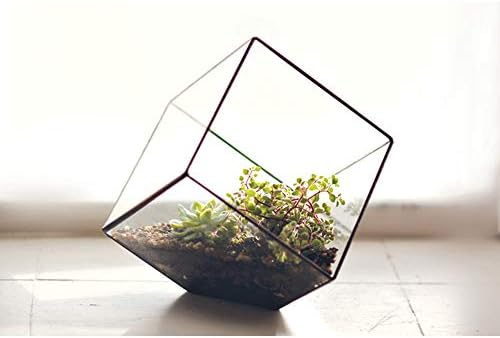 WGV Geometric Planter Terrarium Bulk, Width 8" Height 8.5" Clear Glass Black Frame DIY Succulent air Plant Miniature Fairy Garden Windowsill Tabletop Decor, Tilted Cube 12 Pieces - Image 7