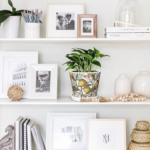 5.5 Inch Decorative Plant Pots, Round Ceramic Planters for Indoor Plants Pots with Drainage Hole Saucers, Lemon Green Leaves Ceramic Flower Pots Retro Planter Pot for Succulents Cactus Outdoor Garden - Image 6