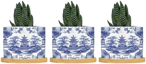 Chinoiserie Blue Asian Ceramic Planters Chinoiserie Chic Asian Snake Plant Live Indoor with Pot with Drainage Holes and Saucers Pot for Home Office Decoration by BRUYU5SE