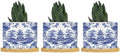 Chinoiserie Blue Asian Ceramic Planters Chinoiserie Chic Asian Snake Plant Live Indoor with Pot with Drainage Holes and Saucers Pot for Home Office Decoration by BRUYU5SE