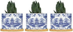 Chinoiserie Blue Asian Ceramic Planters Chinoiserie Chic Asian Snake Plant Live Indoor with Pot with Drainage Holes and Saucers Pot for Home Office Decoration by BRUYU5SE