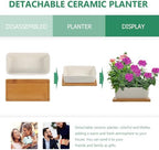 VILLCASE White Ceramic Succulent Flower Pots 2 Sets with Tray for Garden - Image 3