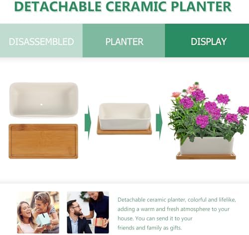 VILLCASE White Ceramic Succulent Flower Pots 2 Sets with Tray for Garden - Image 3