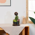 Yangbaga Tall Glass Terrarium Jar: House for Succulent Plant/Moss/Fish - Image 6