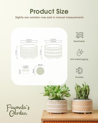 Fayoula Succulent Pots, 6 Inch Planters with Drainage Hole, Modern Indoor Plant Pots for Succulents, Herbs, Aloe, Snake Plant - Ceramic Home Décor, Set of 2 - Image 2