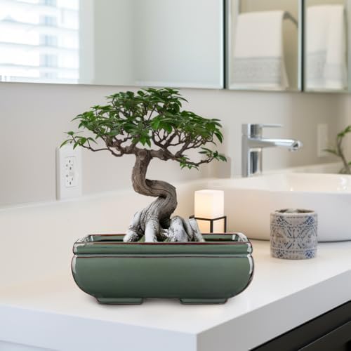 Set of 2 Large Bonsai Pots with with Drainage Hole, 8.7" Green Glazed - Image 6