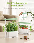 SUNCOZE Hydroponics Growing System Kit with 3 Pods for Beginners - Image 6