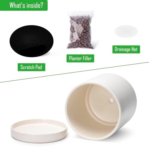 D'vine Dev 2-Pack Ceramic Pots with Saucers, Oatmeal, 10 in, 94-V-E-8 - Image 4