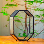 NCYP Glass Enclosure Terrarium with Mesh and Door for Spiders, Small Mantis, Jumping Spider - Octagon Shape Vented Glass Terrarium 6.2 x 3.1 x 8.7 inches, Black (Plants Not Include) by NCYP
