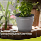Headwind Natural Ironstone Timberline - 6" Slate Grey Decorative Planter for Outdoor Pots for Plants – Modern Indoor Plant Pots, Large & Small Planters for Indoor Plants by Robert Allen 2-Pack - Image 4