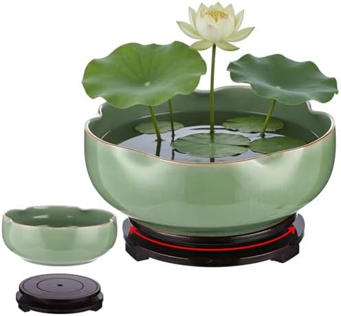 Ceramic Lotus Bowl Planter with Wood Tray, 7.8 in Green Water Lily Planter Pot, Hole Free Hydroponic Bowl, Ice Crack Glaze Flower Bowl for Lotus, Aquatic Plants, Bonsai, Desk Decor by Unknown