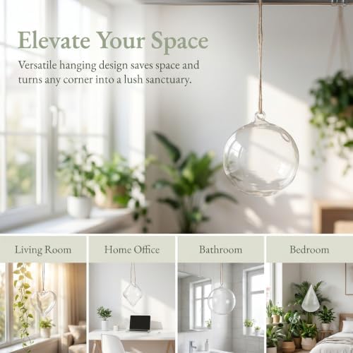 Kisangel 4pcs Hanging Glass Planter- Clear Flower Vase - Hanging Terrarium Globe DIY Air Succulent Planter for Windowsill Outdoor Garden Decor - Image 3