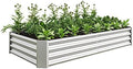 Metal Raised Garden Bed Outdoor, Rectangle Galvanized Rustproof Raised Planter Boxes for Flowers, Plants, Vegetables, Herbs (Silver, 6x3x1FT) by Unknown