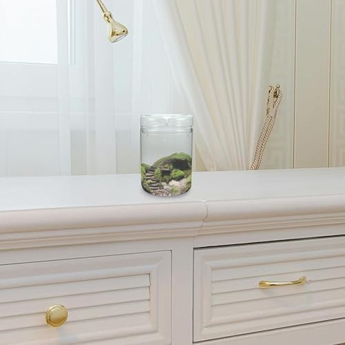 Glass Plant Terrarium Bottle DIY Landscape Display Container - Image 6