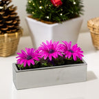 WGVI Long Rectangle Ceramic Planter Vase in Silver 14" x 4" x 4"H, Rectangular Box Block Terrarium Pot, Flower Arrangement, Tabletop Centerpiece, Home Decor Organization Storage Container, 1 Pc. - Image 6