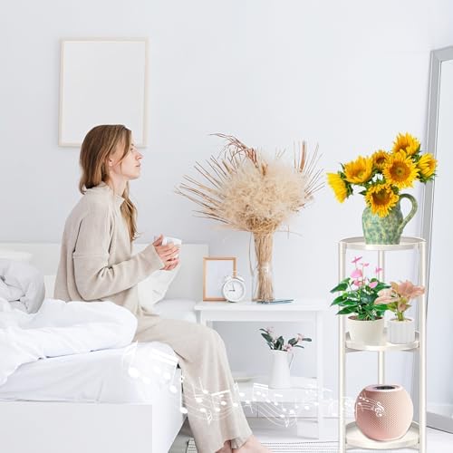 3 Tier Metal Plant Stand Indoor, Corner Tiered Round Plant Stand for Indoor Multiple Plants, Flower Pot Stands Outdoor Holders Plant Shelf Display Rack for Balcony Living Room(Cream White) - Image 4