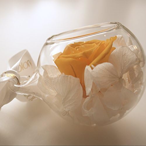 RoseStory®|Preserved Yellow Rose Terrarium|Glass Hangning Terrarium Kit - Image 4
