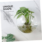 Generic 4pcs Glass Wall Planters for Indoor Plants Decorative Hanging Terrarium Globes Water Holder for Propagation Station and Home Wall Decor - Image 4