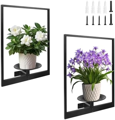 Plant Wall Shelf, Metal Modern Style Frame, Picture Wall Plant Holder, Plant Frames for Living Space Decor Display Stand for Living Room Balcony Garden Patio (2 PACK(BLACK)) - Image 2