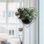 Hajia 1 Pack Heart Shaped Hanging Plant Holder with 7.5inch Detachable Pot, Black Metal Modern Hanging Planter for Indoor Outdoor, Minimalist Wall Ceiling Plant Hanger for Home Wedding Decor - Image 2