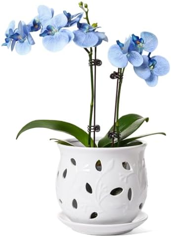 LE TAUCI Ceramic Orchid Pot, 6.5 Inch Orchid Pots with Holes, Orchid Planter for Repotting, Indoor Flower Plant Pot with Drainage and Saucer, White by LETAUCI