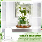 2 Pcs 5.9 x 7.9 Inch Clear Glass Dome Terrarium with Air Hole & Base - Image 5