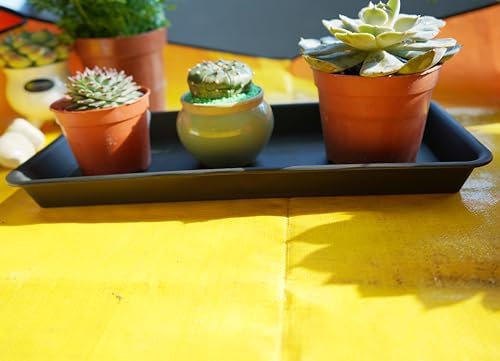VUWEZ 6 Pack Plastic Plant Trays - Rectangular 14 inch, Indoor/Outdoor Plant Saucers with Drip Protection, Perfect for Windowsill or Planters (6.8 x 14.5'', Black) - Image 7