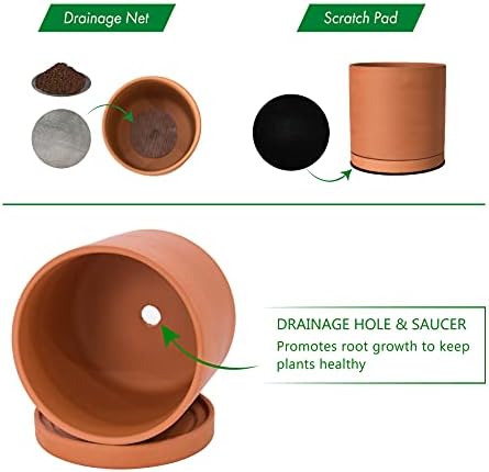 D'vine Dev 2-Pack Terracotta Plant Pots with Saucers, 5 Inch, 40-X-B-2 - Image 4