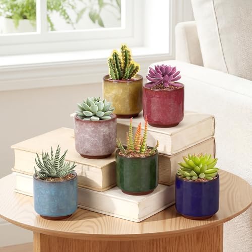 12 Pack Small Ceramic Succulent Pots with Drainage Hole - Image 4